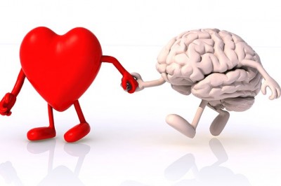 Beyin Mi Kalp Mi? Hangisi Aşkı Kontrol Ediyor?