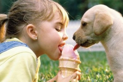 Evde Hayvan Beslemenin 5 Güzel Yönü 