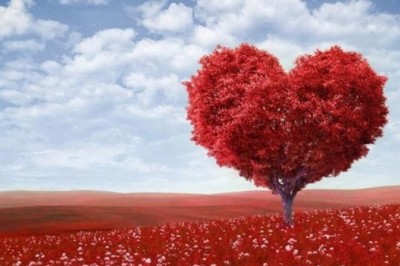 Sevgililer Günü Hakkında Bilmeniz Gereken 5 Bilgi