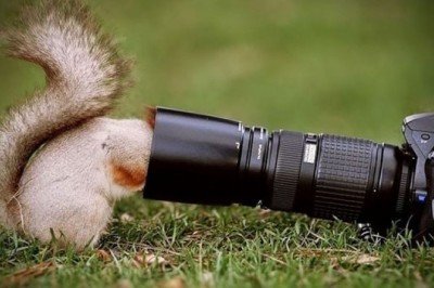 Meraklı İnsanların Bildiği 5 Şey