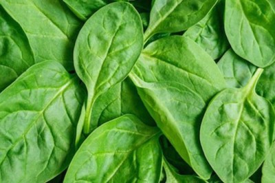 Hafıza Güçlendirici Besinler