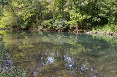 Sözcüklerin Gücünü Keşfedin, Dünyanız Değişsin