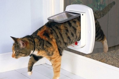 Kedisi İçin Yapay Zekalı Kapı Yaptı