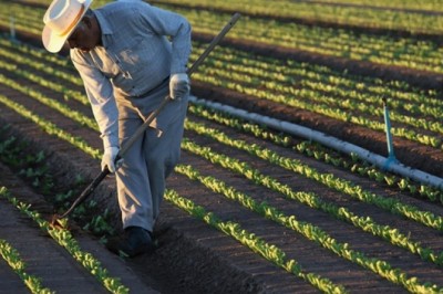 Tarım Sektöründe Yenilikçi İş Fikirleri