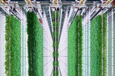 Walmart Dikey Tarıma Yatırım Yaptı